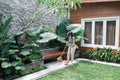 a woman cleaning a yard with sweeping the leaves at home