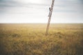 woman climbing a surreal ladder in the middle of a field reaching the sky, abstract concept Royalty Free Stock Photo