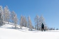 A woman climbing on touring skis in mountains. Winter sports concept