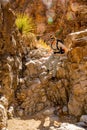 Woman Climbs Down Dry Fall in Upper Burro Mesa Pouroff Royalty Free Stock Photo