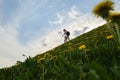 Woman climbs a hill along a path among flowers on a summer day Royalty Free Stock Photo
