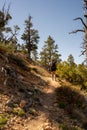 Woman Climbs Under the Rim Trail in Bryce Canyon