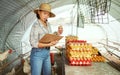 Woman, clipboard or chicken eggs on farm export sales, stock management or import order review. Asian farmer, poultry or