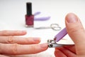 Woman Clipping Nail s with Forceps. Female cuts his nails on a white background with tweezers for nails. manicure procedures Royalty Free Stock Photo