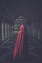 Woman in cloak outdoor Royalty Free Stock Photo