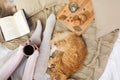 Woman with coffee and red cat sleeping in bed Royalty Free Stock Photo