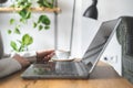 Woman with coffee sitting in front of her laptop Royalty Free Stock Photo