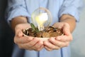 Woman with coins, light bulb and green plant. Power saving