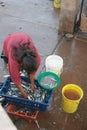 Woman collecting fish