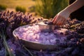 woman collecting lavender flowers for essential oil, lavender harvesting, making escented salt, Generative AI