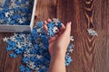 Woman collecting the small pieces of a puzzle - the concept of problem-solving Royalty Free Stock Photo