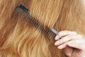 Woman combing hair Royalty Free Stock Photo