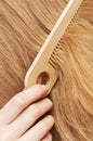 Woman combing hair Royalty Free Stock Photo