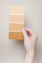 Woman comparing paint swatches to wall color