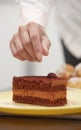 Woman confectioner preparing cake