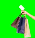 Woman consumer hand holding colorful shopping bag and credit card isolated on green background. Consumerism concept. Asian woman