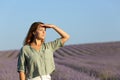 Woman contemplating lavender field protecting from sun Royalty Free Stock Photo