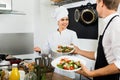 Woman cook giving to waitress ready to serve salad Royalty Free Stock Photo