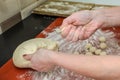 Woman cook sculpts round balls of dough from flour