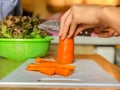 Woman cooking salad,human hands chopping vegetable,vegetarian,carrot,cucumber and red coral lettuce ,home cooking,healthy concept, Royalty Free Stock Photo