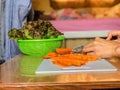 Woman cooking salad,human hands chopping vegetable,vegetarian,carrot,cucumber and red coral lettuce ,home cooking,healthy concept, Royalty Free Stock Photo