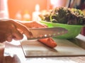 Woman cooking salad,human hands chopping vegetable,vegetarian,carrot,cucumber and red coral lettuce ,home cooking,healthy concept, Royalty Free Stock Photo