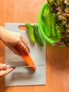 Woman cooking salad,human hands chopping vegetable,vegetarian,carrot,cucumber and red coral lettuce ,home cooking,healthy concept, Royalty Free Stock Photo