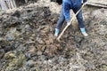 A woman in the countryside chooses manure from the pit early spring to the city Royalty Free Stock Photo