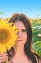 A woman covers half of her face with a sunflower. Portrait of a young beautiful woman in sunflowers Royalty Free Stock Photo
