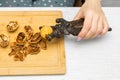 woman cracking walnuts with a hand-held nutcracker. Royalty Free Stock Photo