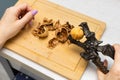 woman cracking walnuts with a hand-held nutcracker. Royalty Free Stock Photo