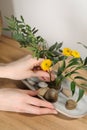 Woman creating stylish ikebana with beautiful flowers and green branches at wooden table, closeup