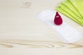 Woman critical days. Menstruation sanitary soft pad for woman hygiene protection and crochet funny blood drop. Gynecological menst