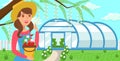 Woman with Crop on Greenhouse Background. Vector.