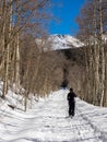 Woman cross country skier on single track