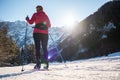 Woman cross country skiing at the foothill of mountain peaks, wide shot Royalty Free Stock Photo