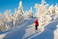 Woman cross country skiing Royalty Free Stock Photo