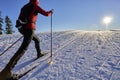 Woman cross-country skiing short before sunset in the Bregenz Forest Mountains Royalty Free Stock Photo