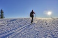 Woman cross-country skiing short before sunset in the Bregenz Forest Mountains Royalty Free Stock Photo