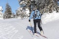 Woman cross country skiing Royalty Free Stock Photo