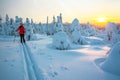 Woman cross country skiing Royalty Free Stock Photo