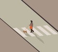 Woman crosses road at a pedestrian crossing with her dog in city park during holiday vacation. Royalty Free Stock Photo