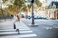 Woman crossing the street in Paris Royalty Free Stock Photo