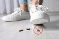 Woman crushing cockroaches with feet, closeup. Pest control Royalty Free Stock Photo