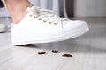 Woman crushing cockroaches with feet. Pest control Royalty Free Stock Photo