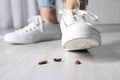 Woman crushing cockroaches with feet. Pest control Royalty Free Stock Photo