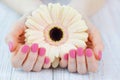 Woman cupped hands with beautiful pink matted manicure Royalty Free Stock Photo