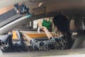 Woman customer paying bills with credit card at Starbuck Cafe drive through.