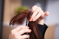 Woman cut the ends of her hair in a beauty studio Royalty Free Stock Photo