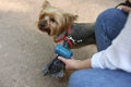 Woman with cute dog taking waste bag from holder outdoors, closeup